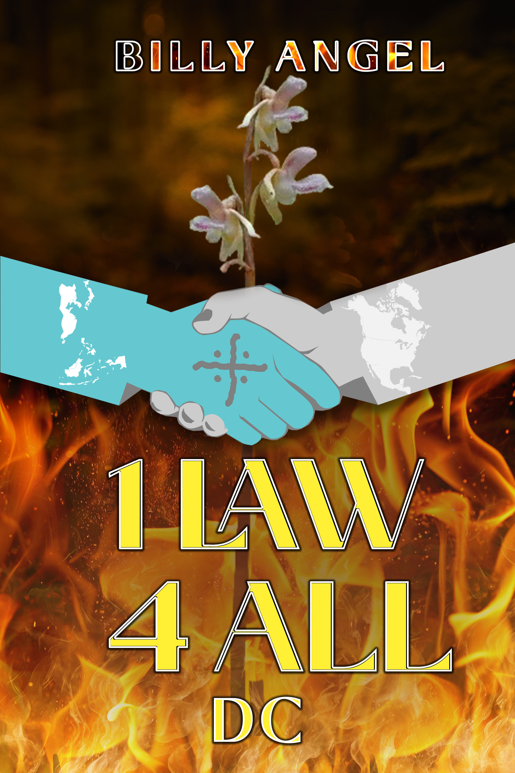 1 Law 4 All - DC cover